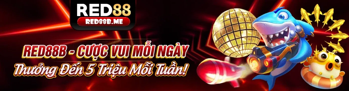 Hình ảnh chính blog kibet code